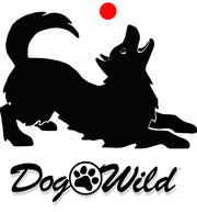 Dog Wild Pet Supply