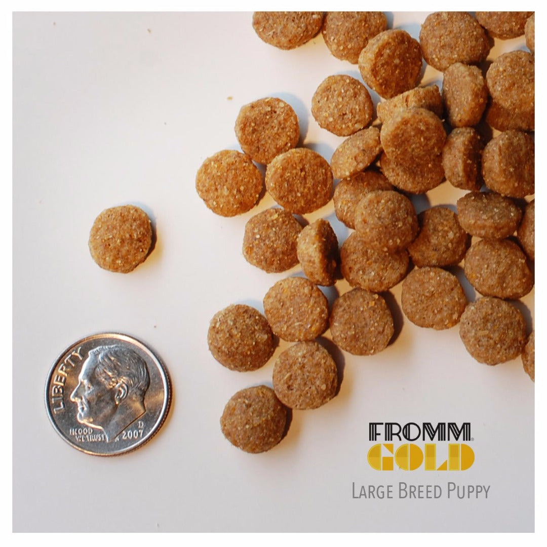 Fromm gold dog outlet food puppy