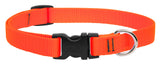 Lupine Pet Basic Solids 3/4" Dog Collar, Multiple Sizes