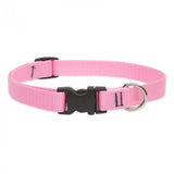 Lupine Pet Basic Solids 3/4" Dog Collar, Multiple Sizes
