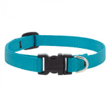 Lupine Pet Basic Solids 3/4" Dog Collar, Multiple Sizes