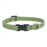 Lupine Pet Eco 1" Dog Collar, Multiple Sizes