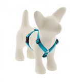 Lupine Pet Basic Solids 1" Roman Dog Harness, Multiple Sizes
