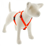 Lupine Pet Basic Solids 1" Roman Dog Harness, Multiple Sizes