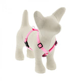 Lupine Pet Basic Solids 1" Roman Dog Harness, Multiple Sizes