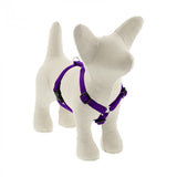 Lupine Pet Basic Solids 1/2" Roman Dog Harness, Multiple Sizes