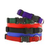 Lupine Pet Basic Solids 1/2" Dog Collar, Multiple Sizes