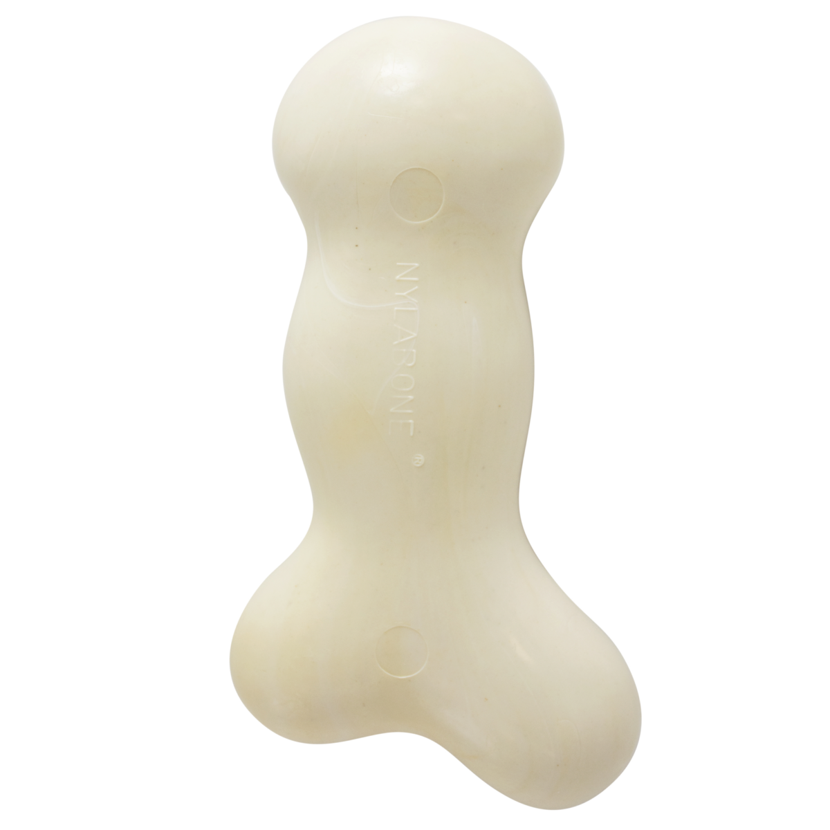 Galileo sales bones nylabone