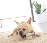 Petstages Deerhorn Dog Chew Toy, Small to Large