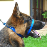 Canny Collar Dog Head Collar, multiple sizes