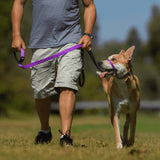 Canny Collar Dog Head Collar, multiple sizes