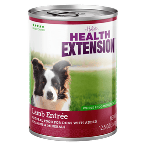 Health Extension Grain-Free Lamb Entree Canned Dog Food, 12.5-oz can