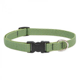 Lupine Pet Eco 3/4" Dog Collar, Multiple Sizes