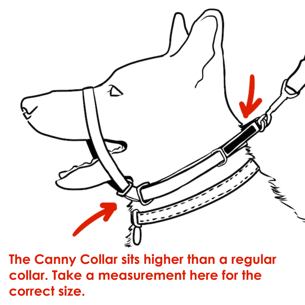 The canny collar cheap